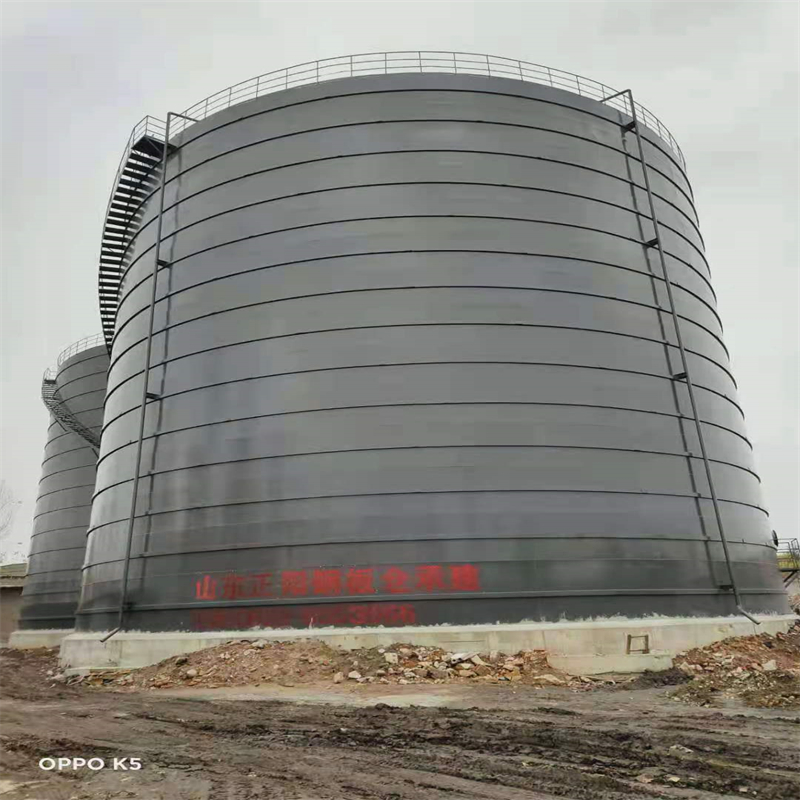 德安3万吨大型钢板库